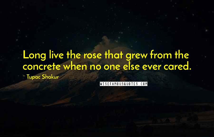 Tupac Shakur Quotes: Long live the rose that grew from the concrete when no one else ever cared.