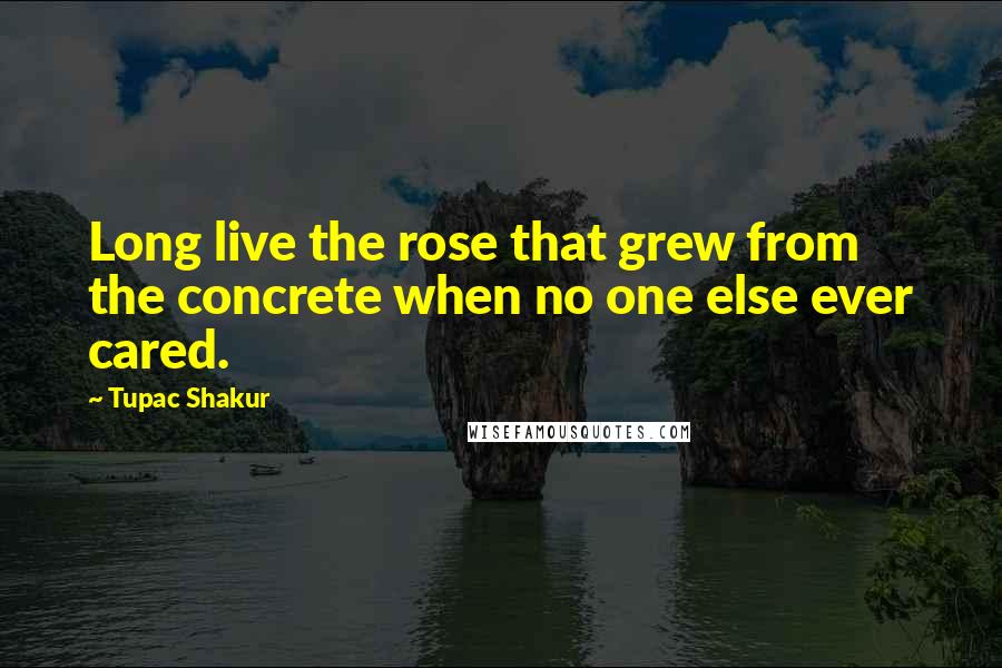 Tupac Shakur Quotes: Long live the rose that grew from the concrete when no one else ever cared.