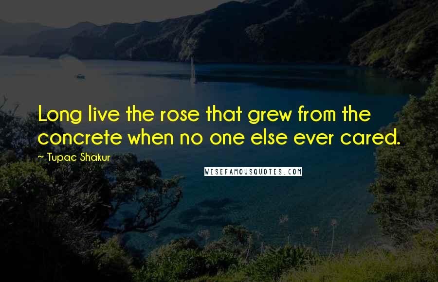 Tupac Shakur Quotes: Long live the rose that grew from the concrete when no one else ever cared.
