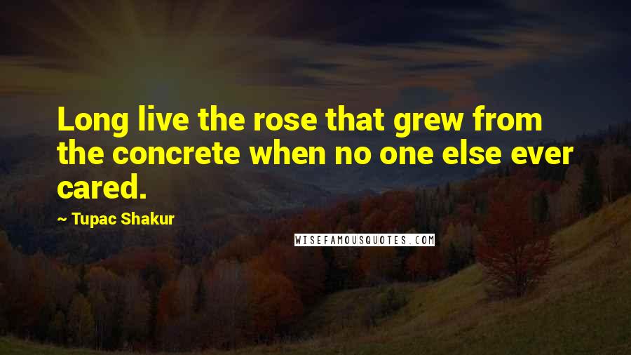 Tupac Shakur Quotes: Long live the rose that grew from the concrete when no one else ever cared.