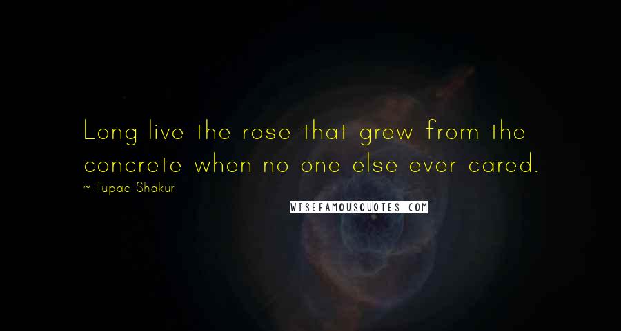 Tupac Shakur Quotes: Long live the rose that grew from the concrete when no one else ever cared.