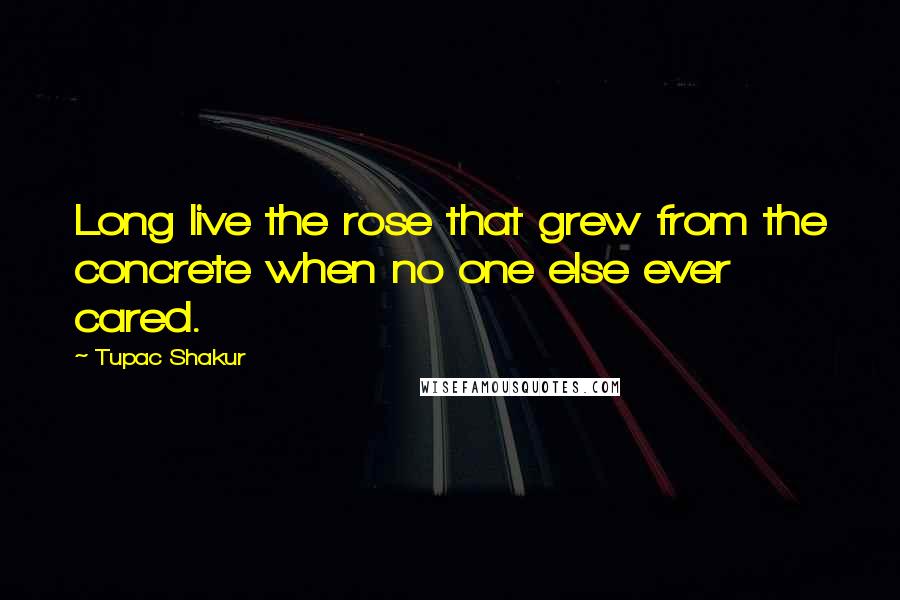 Tupac Shakur Quotes: Long live the rose that grew from the concrete when no one else ever cared.