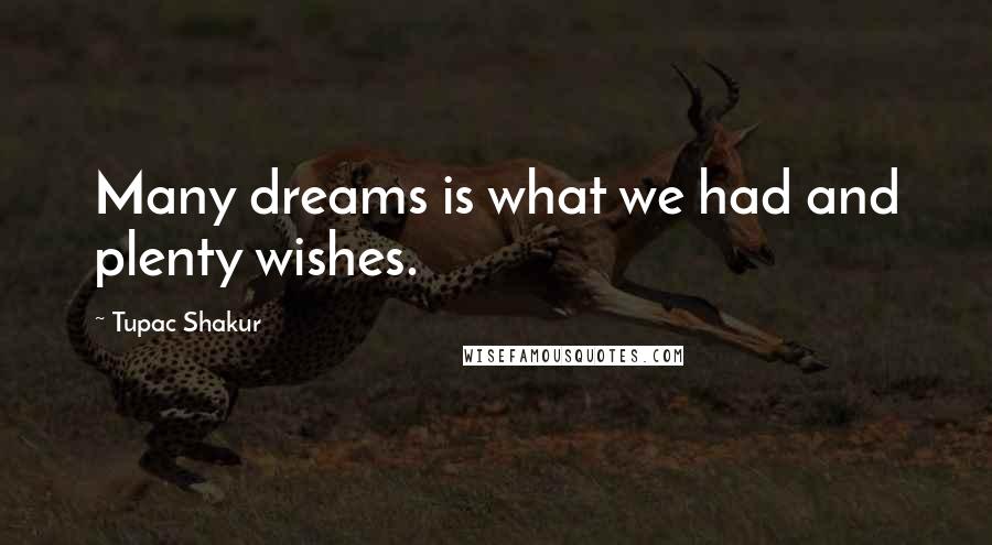 Tupac Shakur Quotes: Many dreams is what we had and plenty wishes.