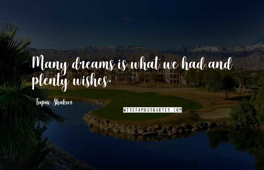 Tupac Shakur Quotes: Many dreams is what we had and plenty wishes.