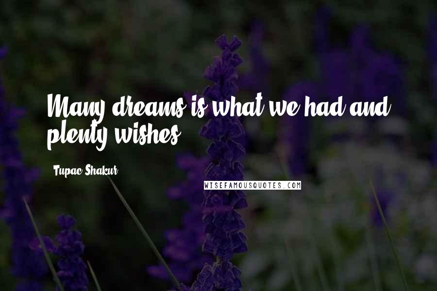 Tupac Shakur Quotes: Many dreams is what we had and plenty wishes.