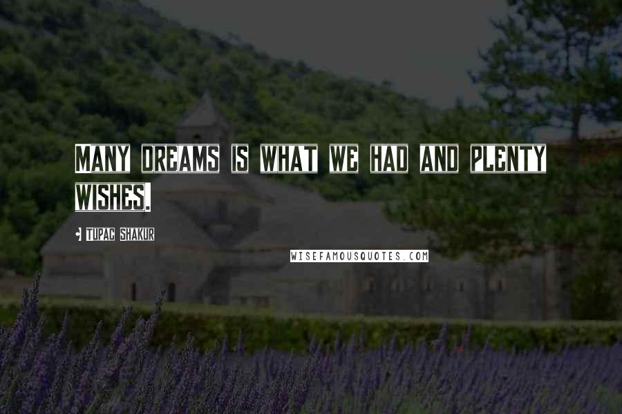 Tupac Shakur Quotes: Many dreams is what we had and plenty wishes.