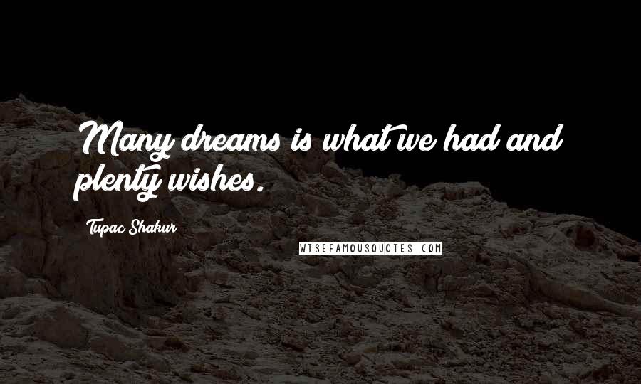 Tupac Shakur Quotes: Many dreams is what we had and plenty wishes.