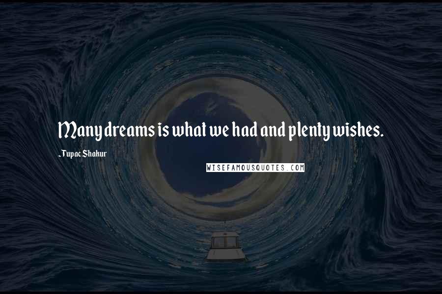 Tupac Shakur Quotes: Many dreams is what we had and plenty wishes.