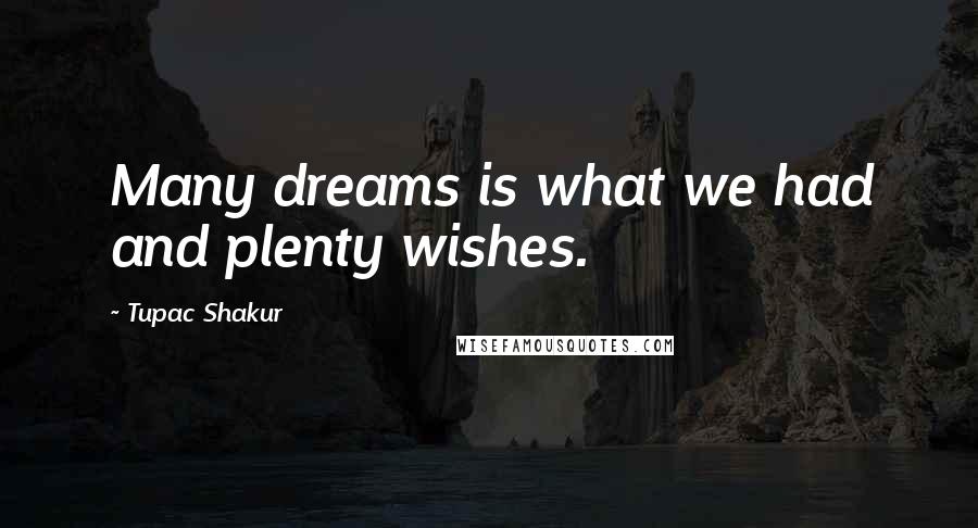 Tupac Shakur Quotes: Many dreams is what we had and plenty wishes.