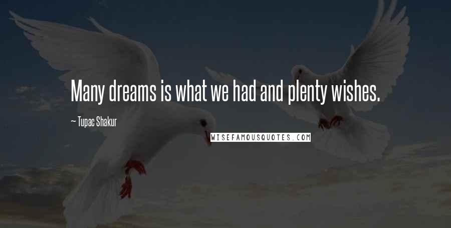 Tupac Shakur Quotes: Many dreams is what we had and plenty wishes.