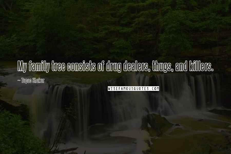 Tupac Shakur Quotes: My family tree consists of drug dealers, thugs, and killers.