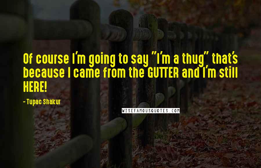 Tupac Shakur Quotes: Of course I'm going to say "I'm a thug" that's because I came from the GUTTER and I'm still HERE!