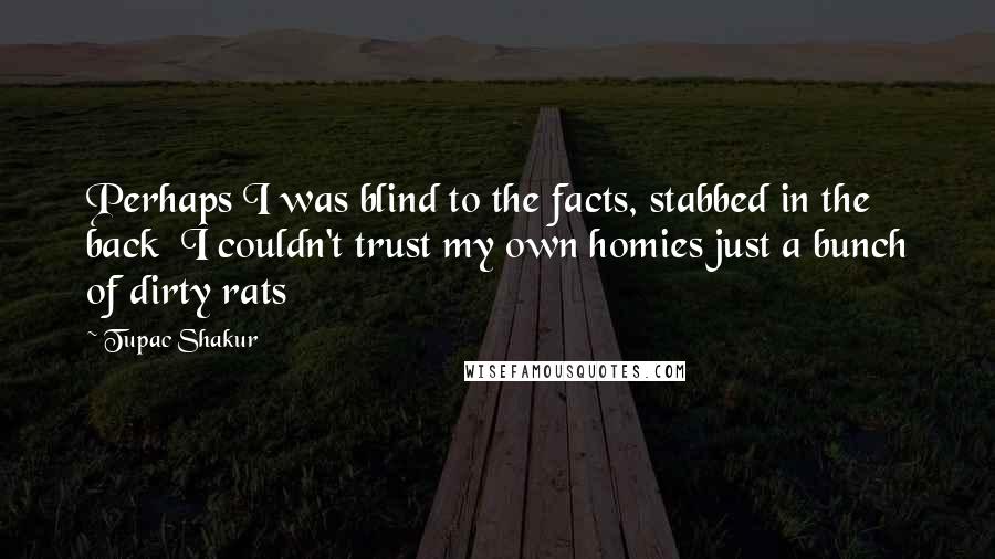 Tupac Shakur Quotes: Perhaps I was blind to the facts, stabbed in the back  I couldn't trust my own homies just a bunch of dirty rats