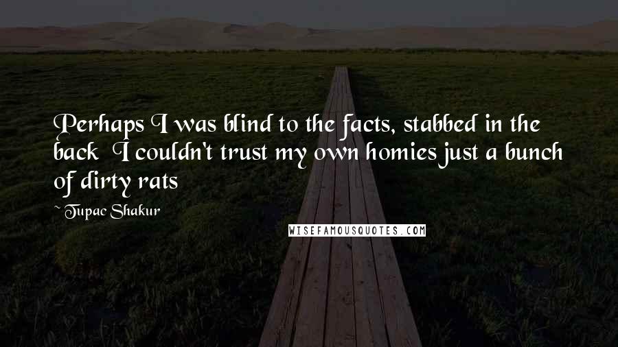 Tupac Shakur Quotes: Perhaps I was blind to the facts, stabbed in the back I couldn't trust my own homies just a bunch of dirty rats