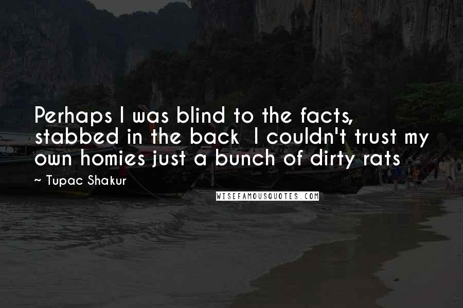 Tupac Shakur Quotes: Perhaps I was blind to the facts, stabbed in the back I couldn't trust my own homies just a bunch of dirty rats