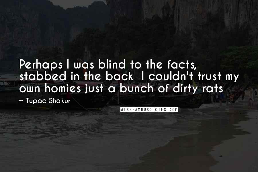 Tupac Shakur Quotes: Perhaps I was blind to the facts, stabbed in the back  I couldn't trust my own homies just a bunch of dirty rats