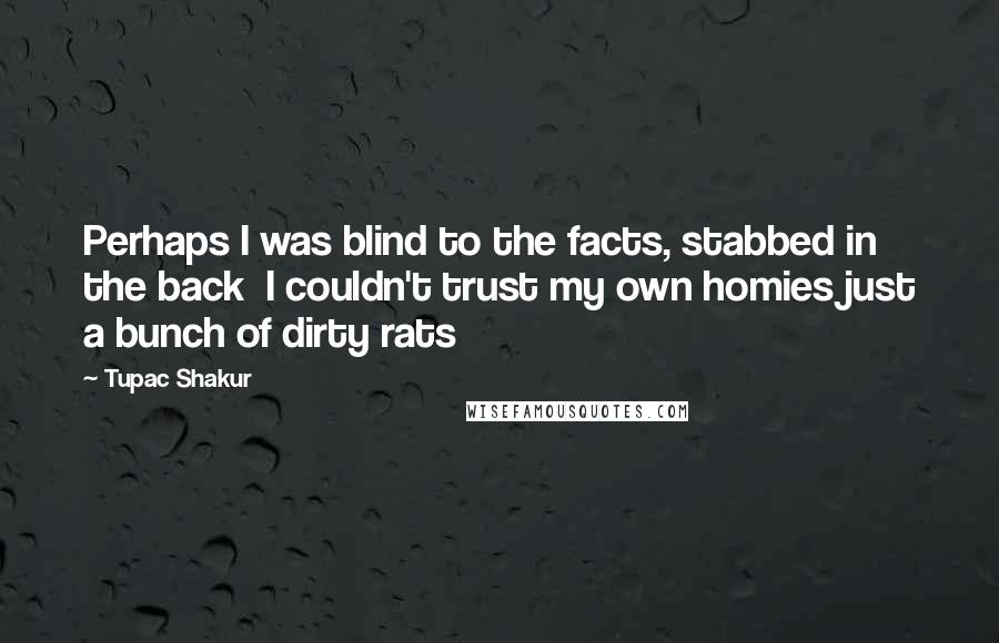 Tupac Shakur Quotes: Perhaps I was blind to the facts, stabbed in the back  I couldn't trust my own homies just a bunch of dirty rats