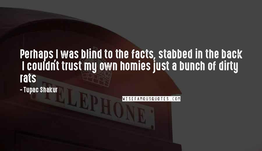Tupac Shakur Quotes: Perhaps I was blind to the facts, stabbed in the back  I couldn't trust my own homies just a bunch of dirty rats