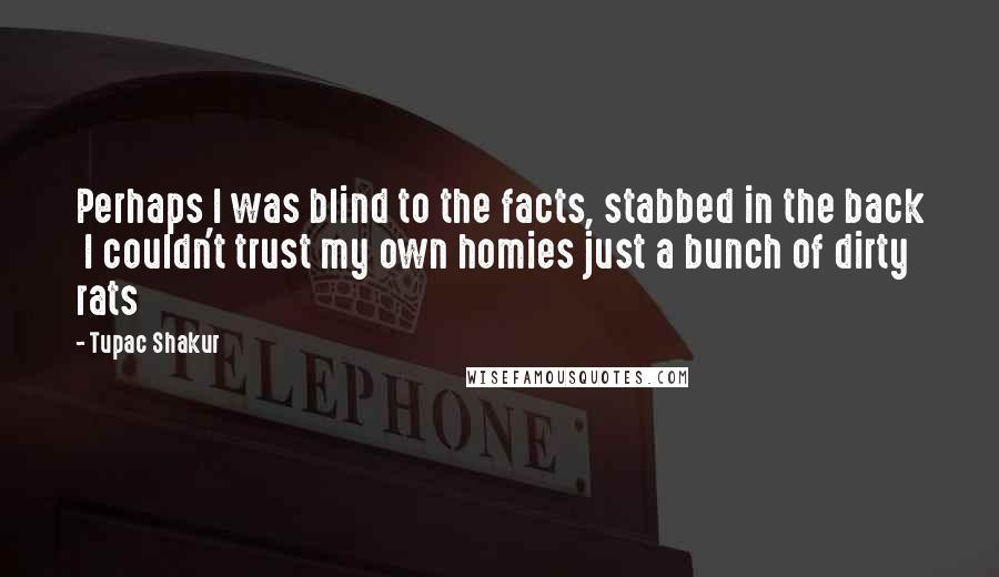 Tupac Shakur Quotes: Perhaps I was blind to the facts, stabbed in the back I couldn't trust my own homies just a bunch of dirty rats