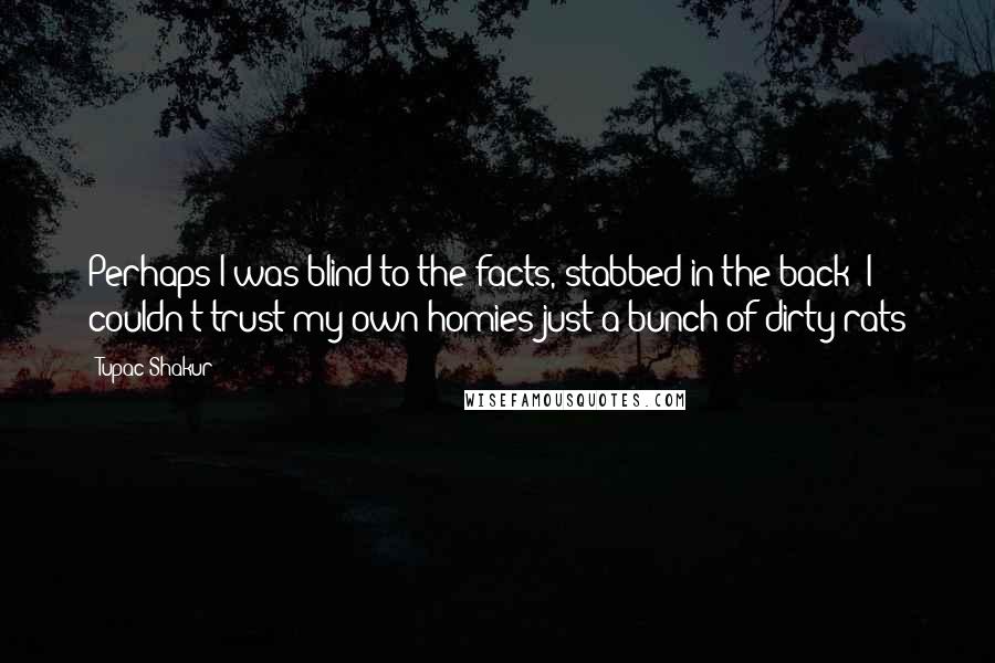 Tupac Shakur Quotes: Perhaps I was blind to the facts, stabbed in the back I couldn't trust my own homies just a bunch of dirty rats