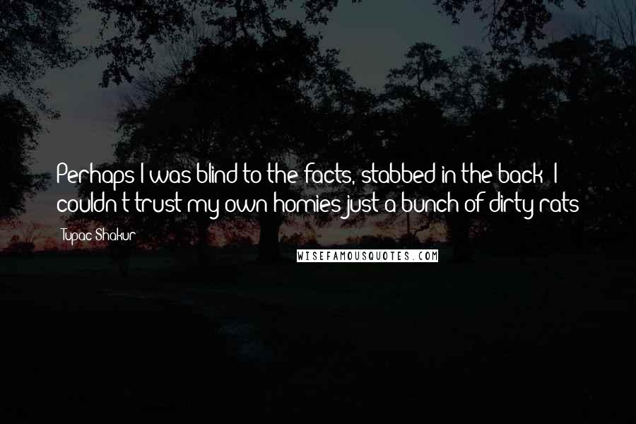 Tupac Shakur Quotes: Perhaps I was blind to the facts, stabbed in the back  I couldn't trust my own homies just a bunch of dirty rats