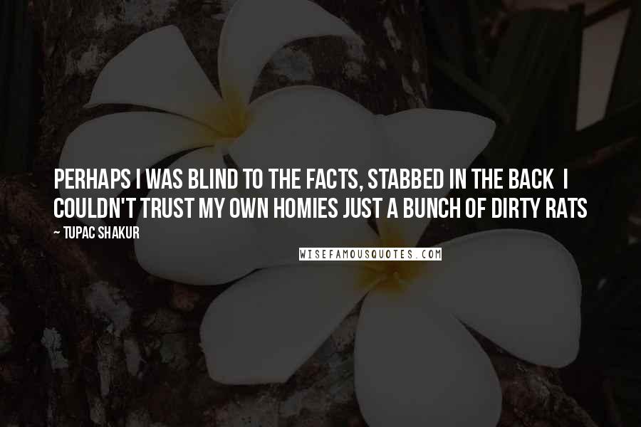 Tupac Shakur Quotes: Perhaps I was blind to the facts, stabbed in the back  I couldn't trust my own homies just a bunch of dirty rats