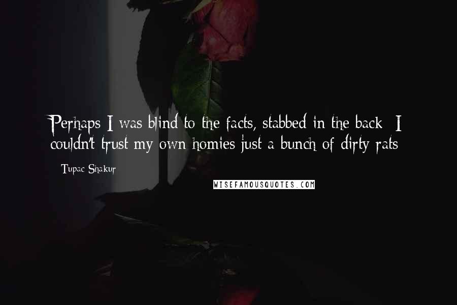 Tupac Shakur Quotes: Perhaps I was blind to the facts, stabbed in the back  I couldn't trust my own homies just a bunch of dirty rats