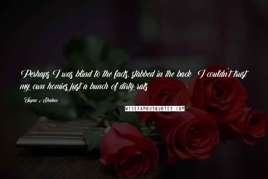 Tupac Shakur Quotes: Perhaps I was blind to the facts, stabbed in the back  I couldn't trust my own homies just a bunch of dirty rats