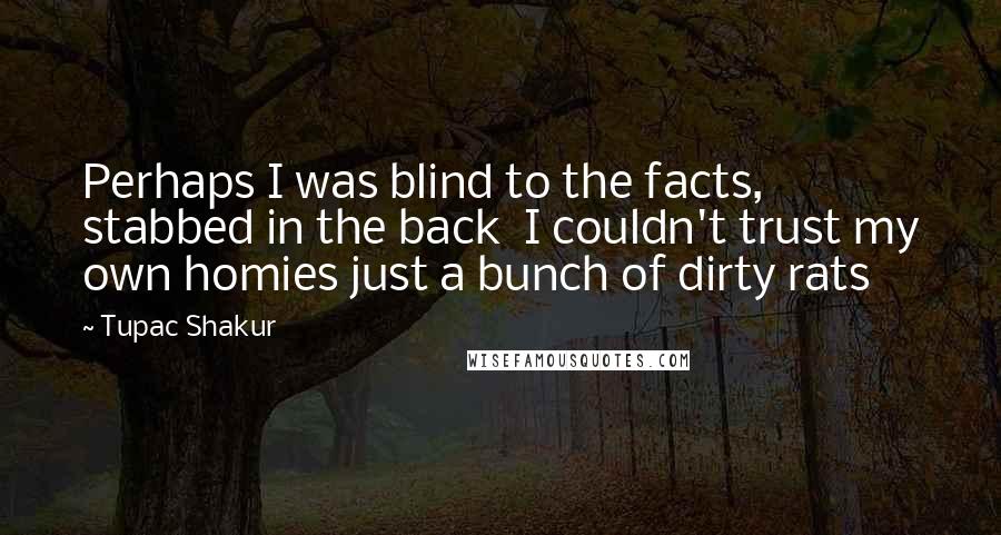 Tupac Shakur Quotes: Perhaps I was blind to the facts, stabbed in the back I couldn't trust my own homies just a bunch of dirty rats