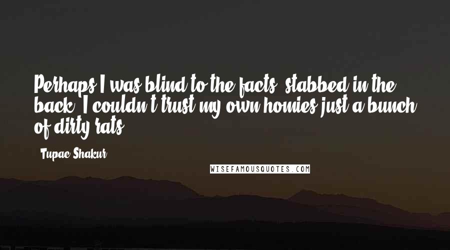 Tupac Shakur Quotes: Perhaps I was blind to the facts, stabbed in the back I couldn't trust my own homies just a bunch of dirty rats