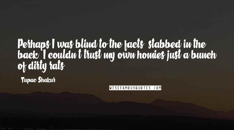 Tupac Shakur Quotes: Perhaps I was blind to the facts, stabbed in the back  I couldn't trust my own homies just a bunch of dirty rats