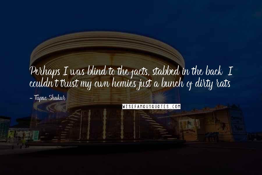 Tupac Shakur Quotes: Perhaps I was blind to the facts, stabbed in the back I couldn't trust my own homies just a bunch of dirty rats