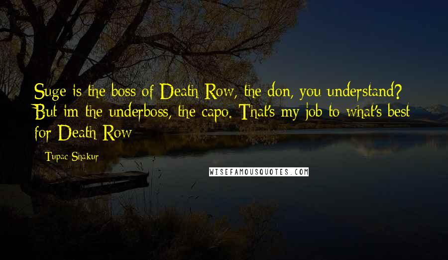 Tupac Shakur Quotes: Suge is the boss of Death Row, the don, you understand? But im the underboss, the capo. That's my job to what's best for Death Row