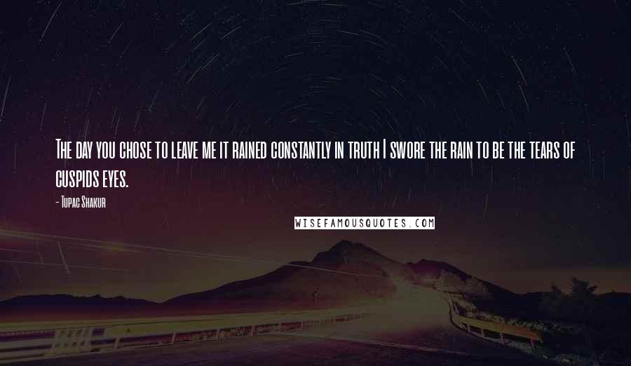 Tupac Shakur Quotes: The day you chose to leave me it rained constantly in truth I swore the rain to be the tears of cuspids eyes.