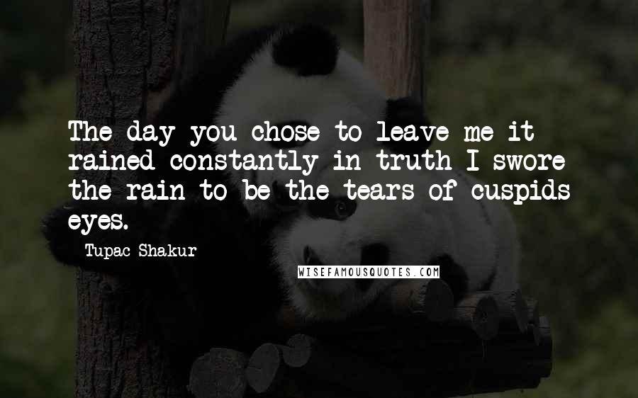 Tupac Shakur Quotes: The day you chose to leave me it rained constantly in truth I swore the rain to be the tears of cuspids eyes.