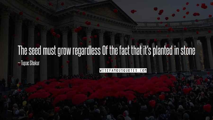 Tupac Shakur Quotes: The seed must grow regardless Of the fact that it's planted in stone