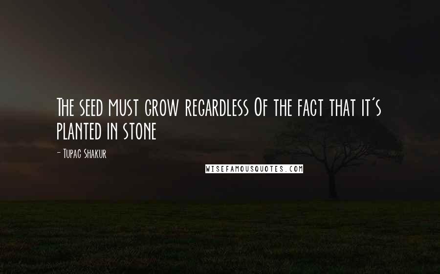 Tupac Shakur Quotes: The seed must grow regardless Of the fact that it's planted in stone