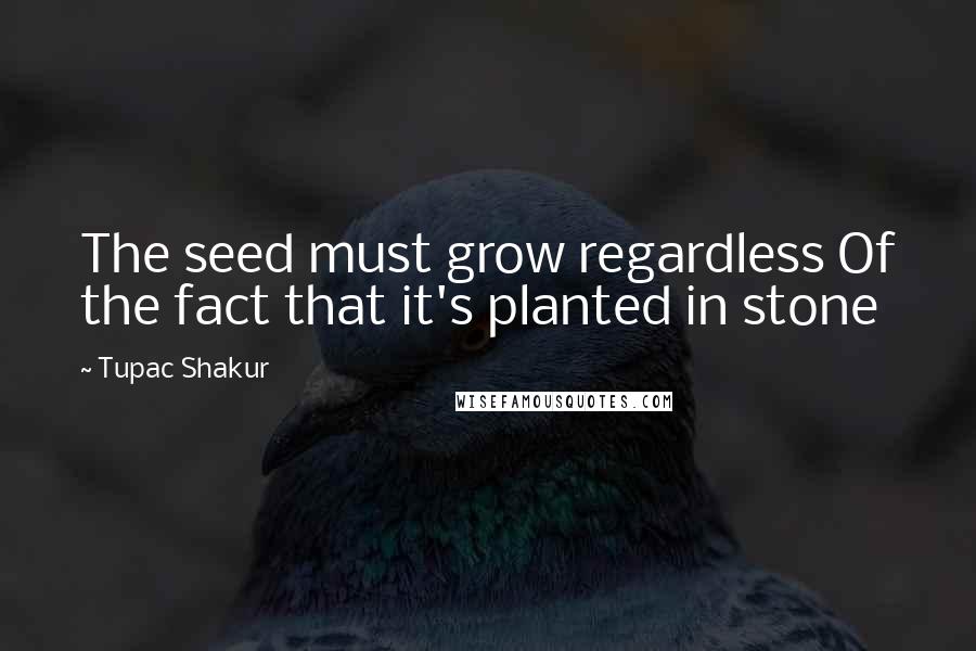 Tupac Shakur Quotes: The seed must grow regardless Of the fact that it's planted in stone