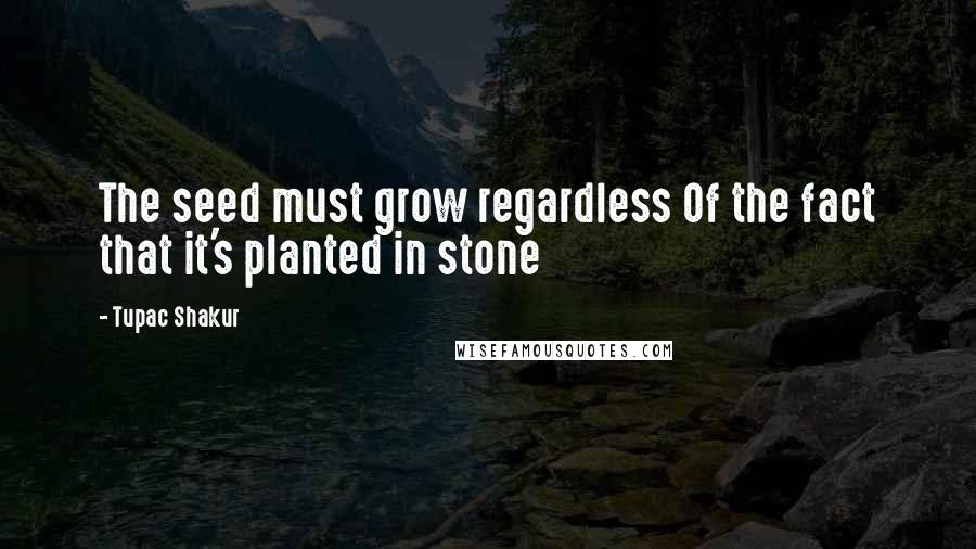 Tupac Shakur Quotes: The seed must grow regardless Of the fact that it's planted in stone
