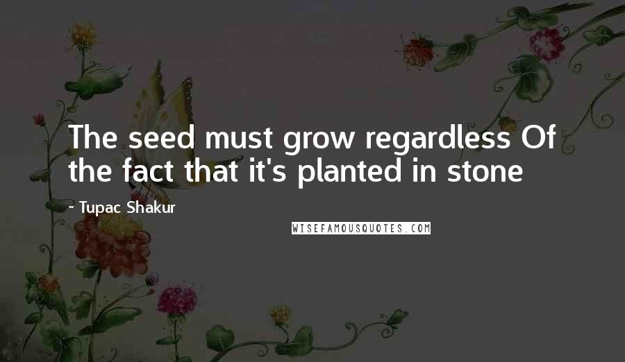 Tupac Shakur Quotes: The seed must grow regardless Of the fact that it's planted in stone