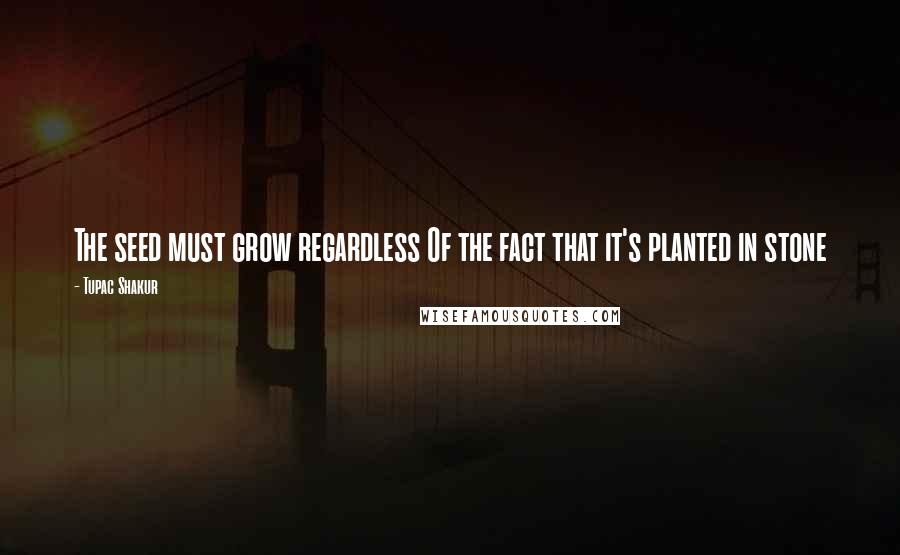 Tupac Shakur Quotes: The seed must grow regardless Of the fact that it's planted in stone