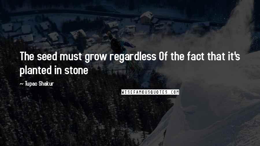 Tupac Shakur Quotes: The seed must grow regardless Of the fact that it's planted in stone