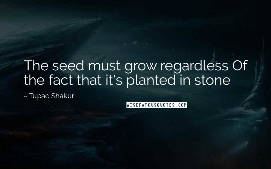Tupac Shakur Quotes: The seed must grow regardless Of the fact that it's planted in stone