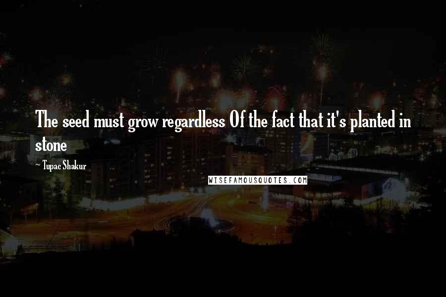 Tupac Shakur Quotes: The seed must grow regardless Of the fact that it's planted in stone