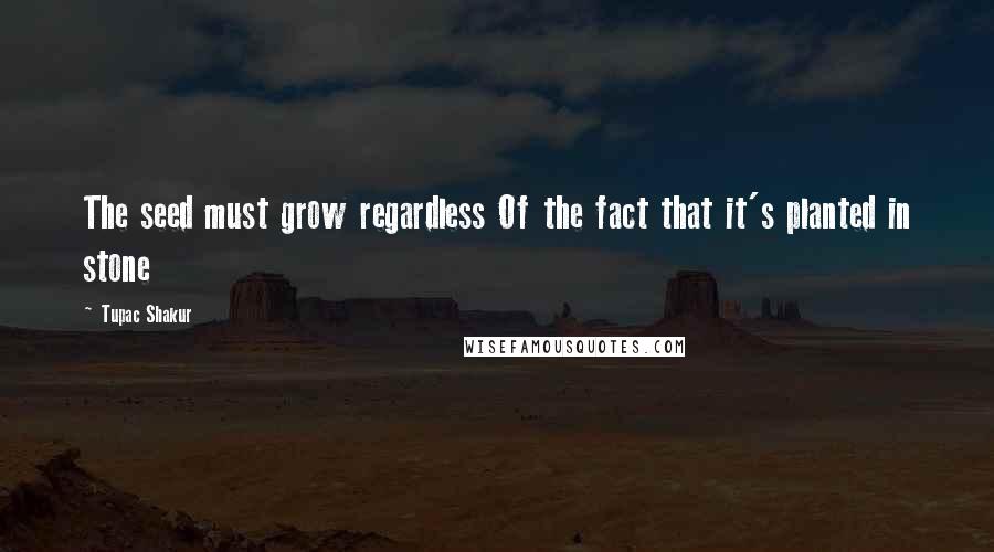 Tupac Shakur Quotes: The seed must grow regardless Of the fact that it's planted in stone