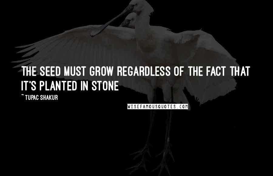 Tupac Shakur Quotes: The seed must grow regardless Of the fact that it's planted in stone