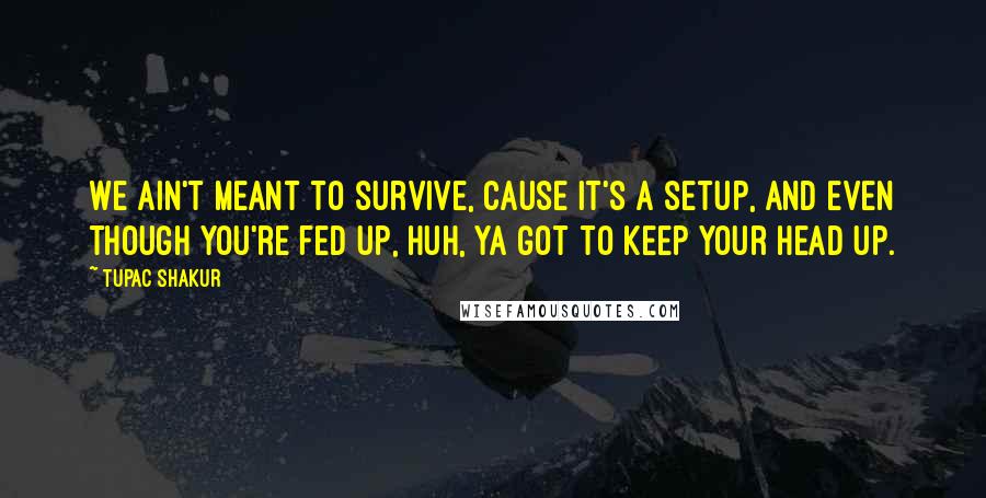 Tupac Shakur Quotes: We ain't meant to survive, cause it's a setup, And even though you're fed up, Huh, ya got to keep your head up.