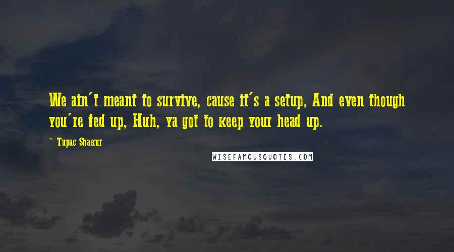Tupac Shakur Quotes: We ain't meant to survive, cause it's a setup, And even though you're fed up, Huh, ya got to keep your head up.