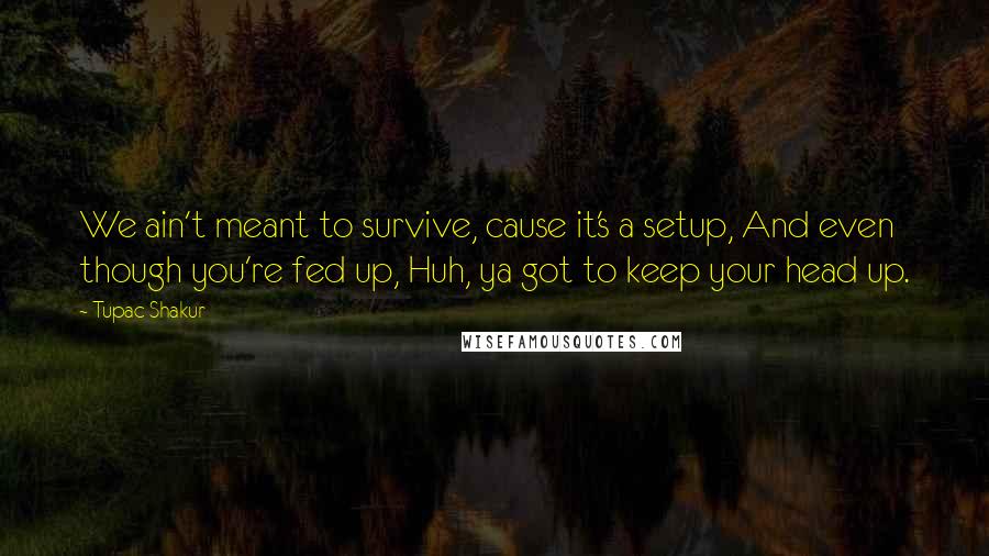 Tupac Shakur Quotes: We ain't meant to survive, cause it's a setup, And even though you're fed up, Huh, ya got to keep your head up.