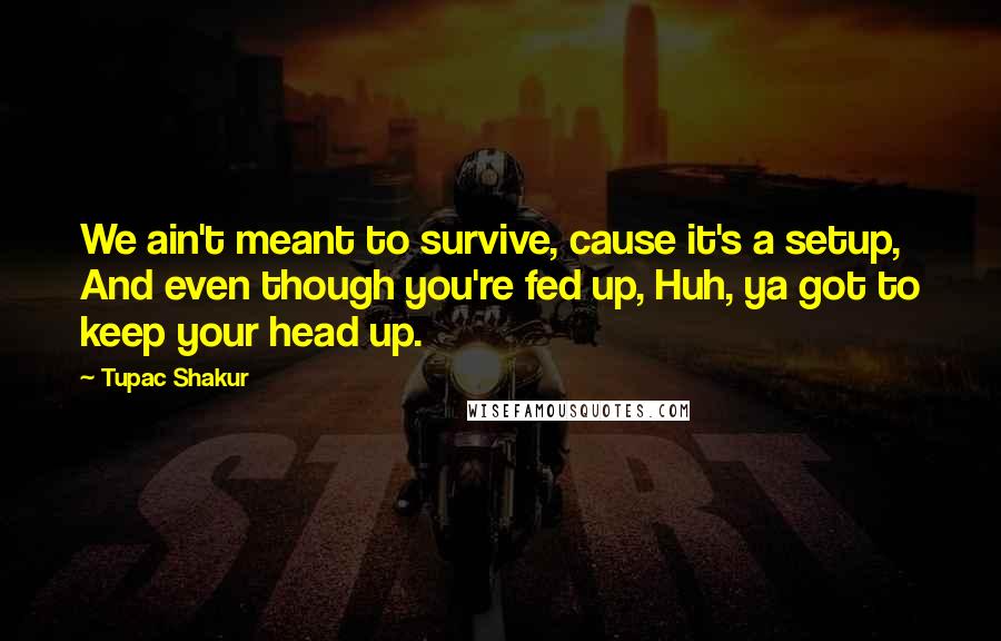 Tupac Shakur Quotes: We ain't meant to survive, cause it's a setup, And even though you're fed up, Huh, ya got to keep your head up.